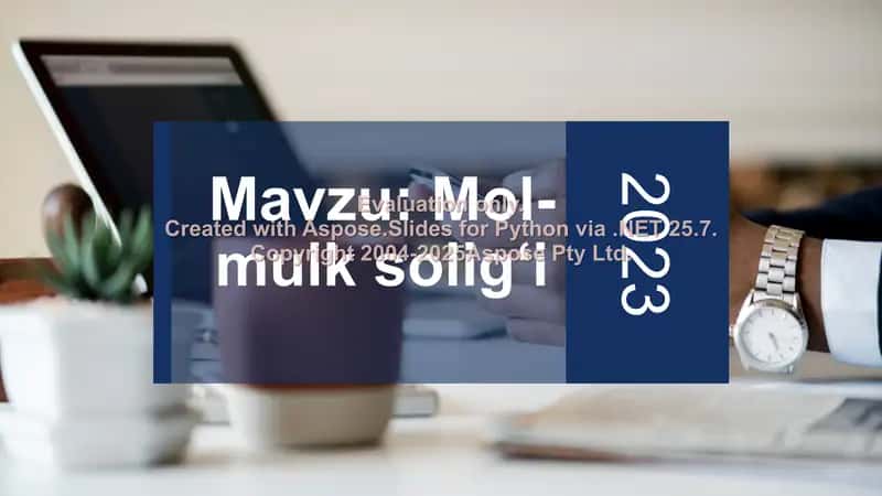 Mol-mulk soligʻi tahlili 2