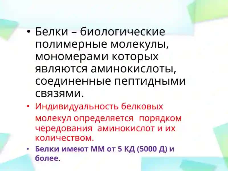 Белки 2