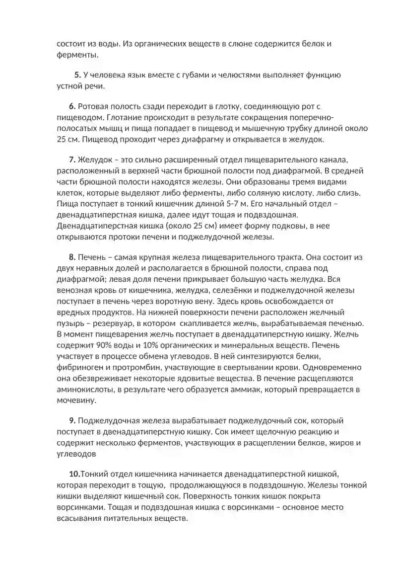 Система пищеварения 2
