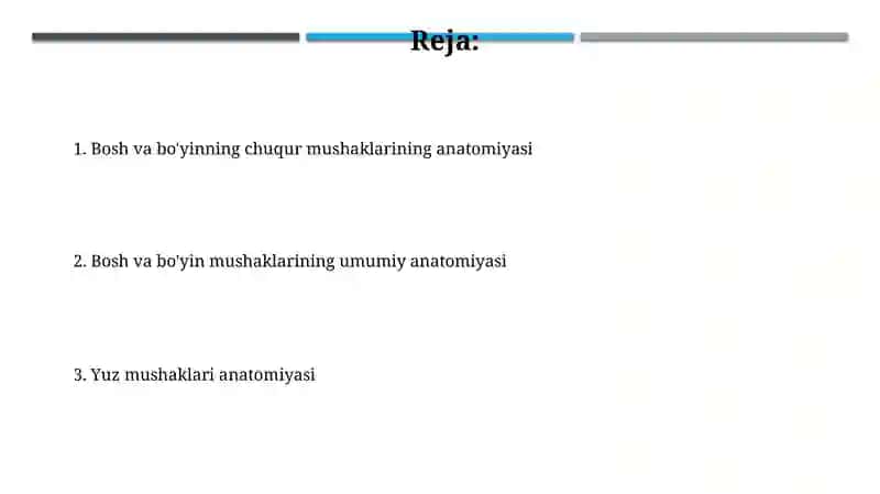 Anatomiya Bosh Sklet Muskullari 2