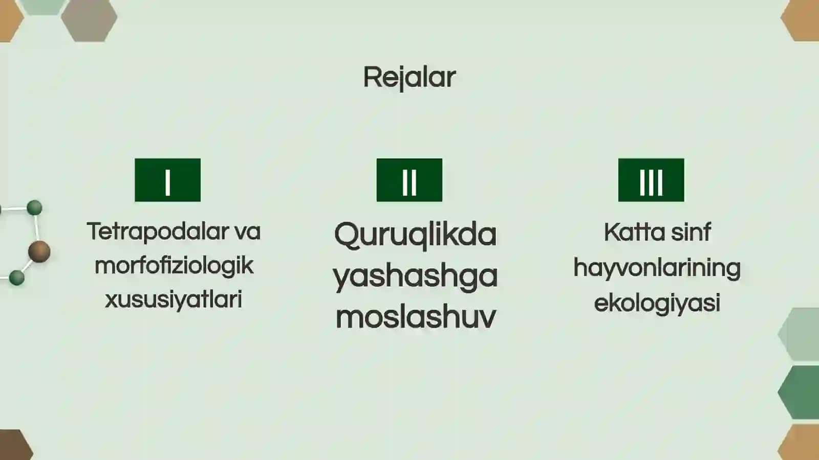 Tetrapodalar va morfofiziologik xususiyatlari 2