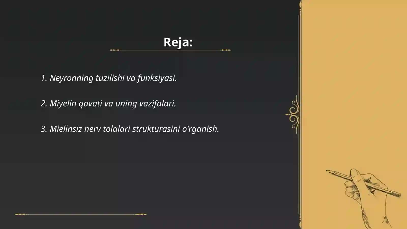 Neyron tuzilishi 2