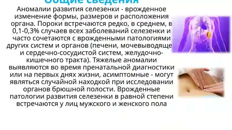 Taloq tug'ma nuqsonlari 2