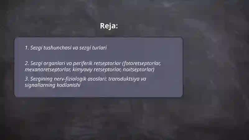 Sezgi va Idrok Asoslari 2