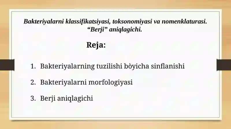 Bakteriyalarning klassifikatsiyasi 2