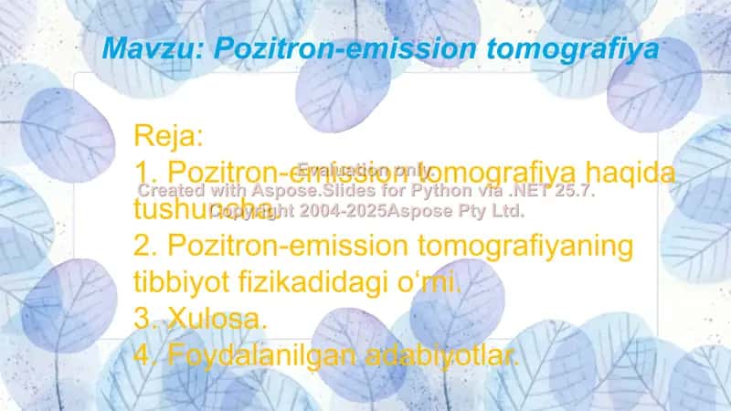 Pozitron-emission tomografiya 2