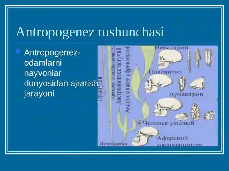 Antropogenez 2