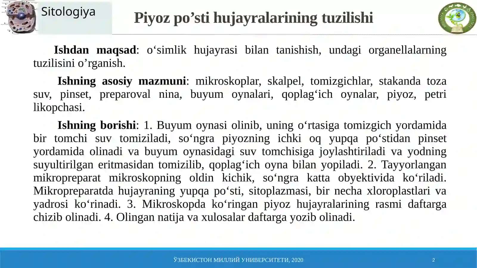 Piyozpo’sti hujayralarining tuzilishi 2