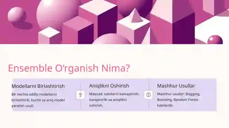 Ensemble O‘rganish 2
