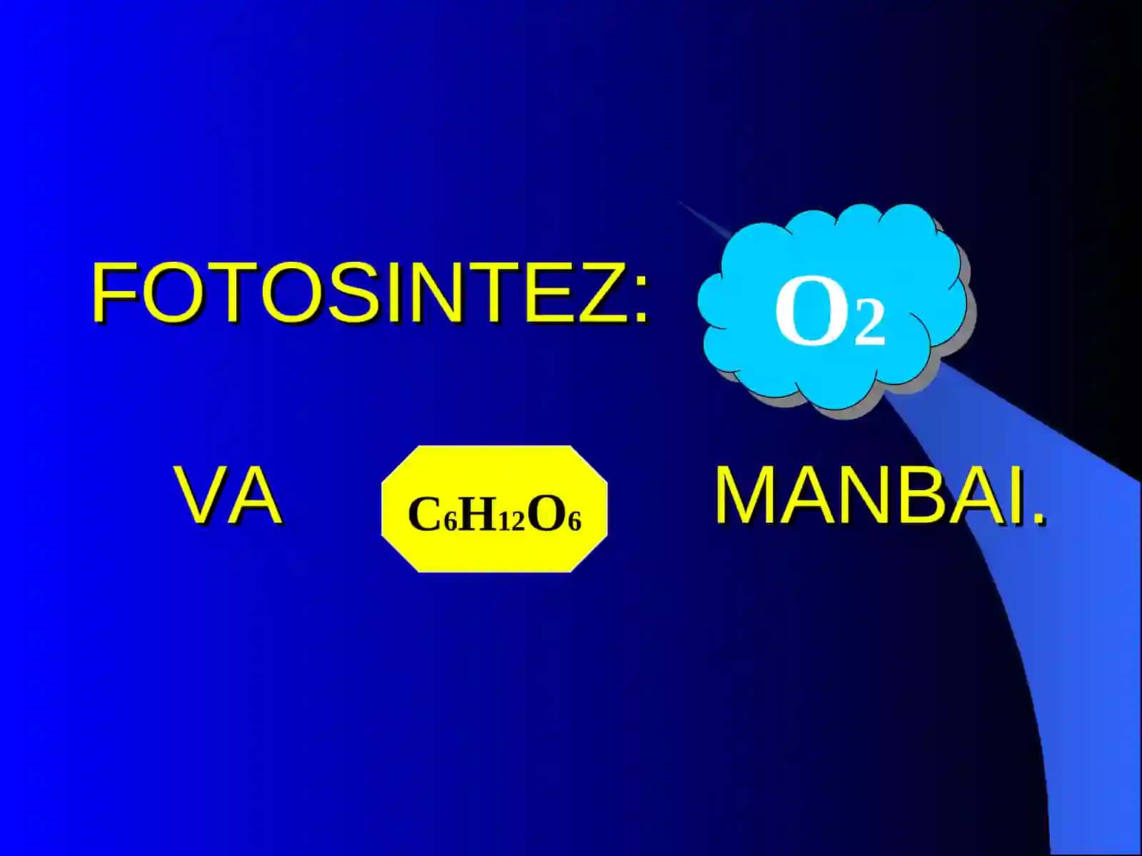 Fotosintez 2