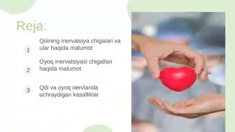 qoʻl va oyoq inervatsiyasi  Chigallari 2