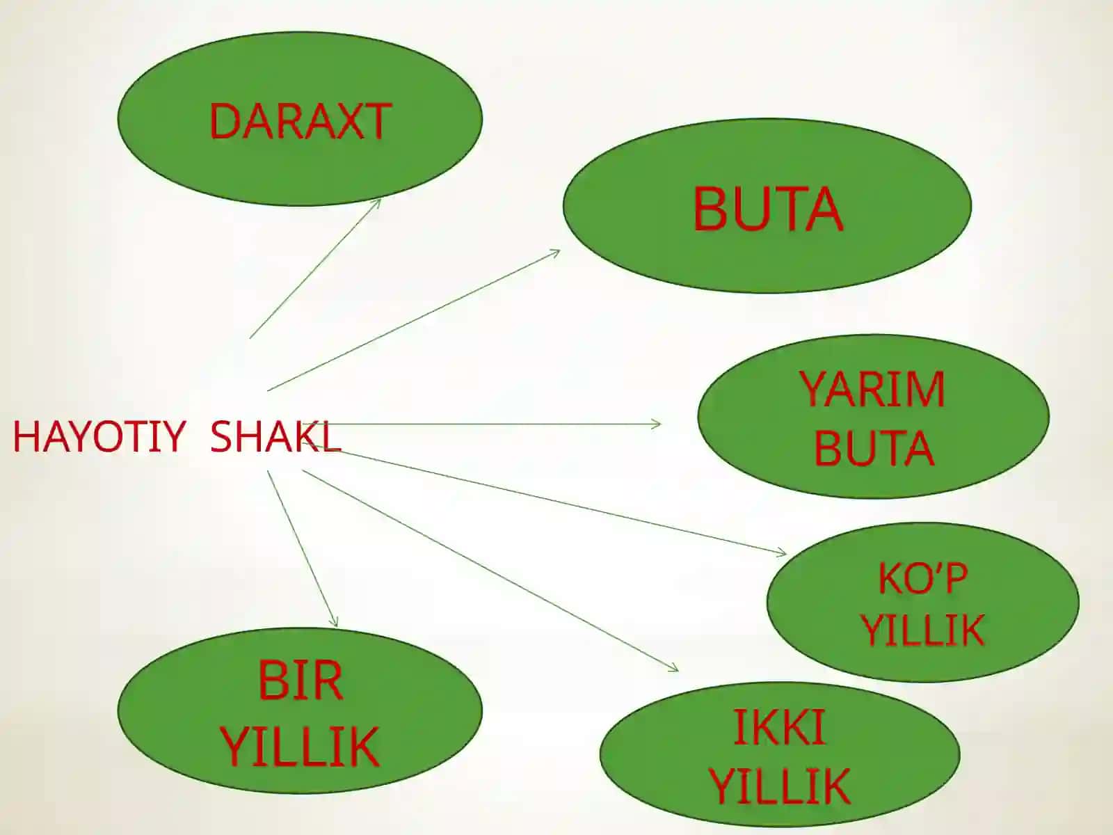 O’SIMLIKLARNINGHAYOTIYSHAKLLARI 2
