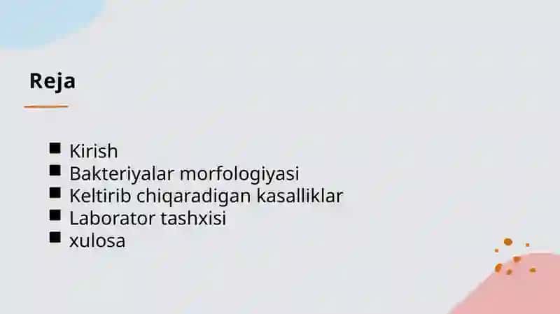 Bakteriyalar morfologiyasi 2