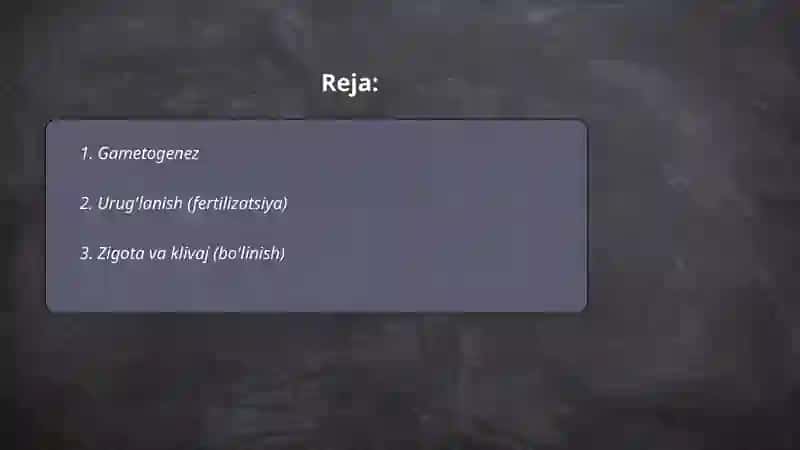 Ontogenez 2