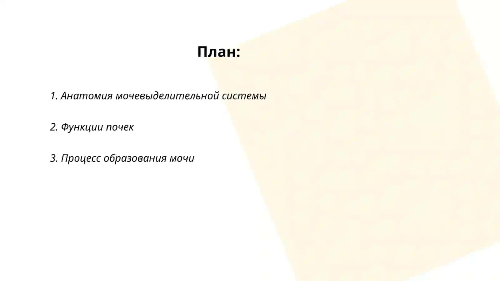 Мочевыделимельная система 2