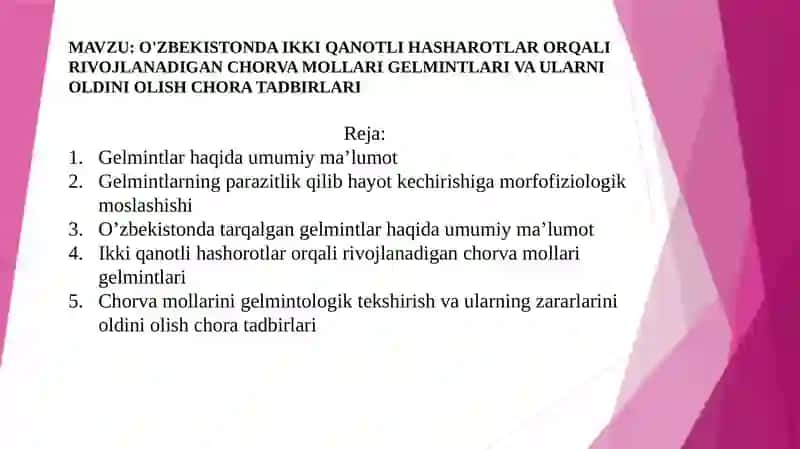Chorva mollari gelmintlari 2