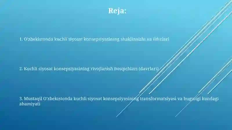 O'zbekistonda kuchli siyosat konsepsiyasi 2
