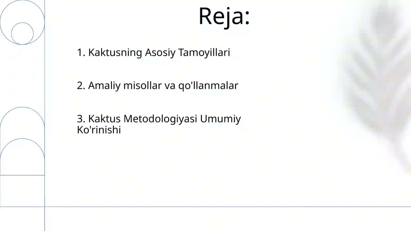 “Kaktus” metodikasi haqida 2