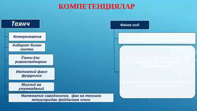Компетенцияларни шакллантиришнинг самарали йўллари 2