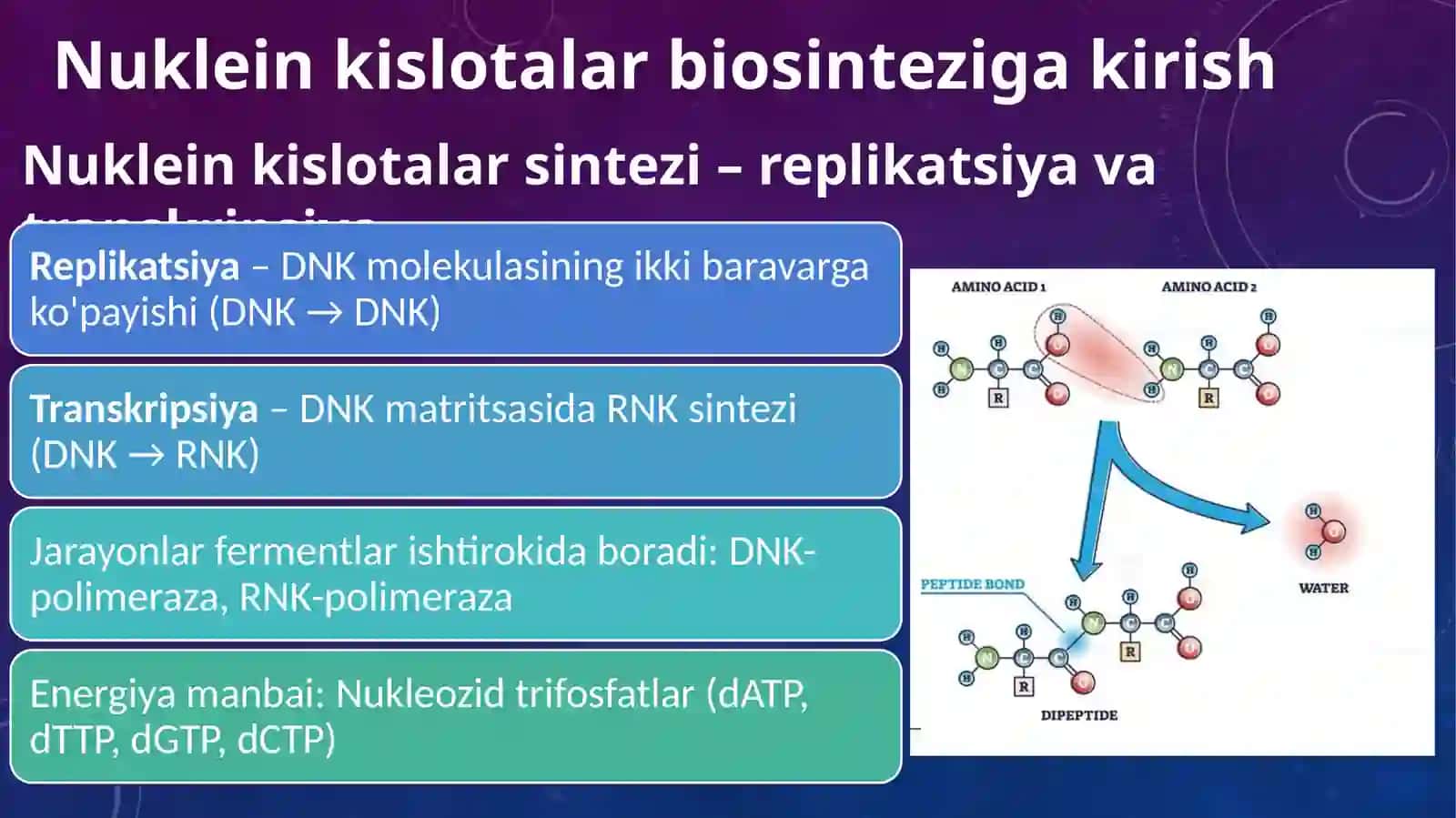 Oqsil biosintezi va nuklein kislotalar biosintezi 2