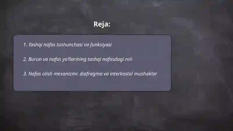 NAFAS FIZIOLOGIYASI 2