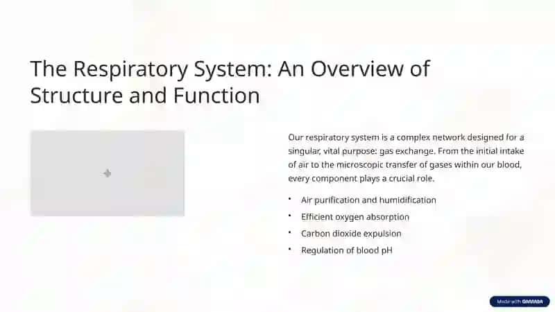 Physiology of the Lungs: A Journey into Respiration 2