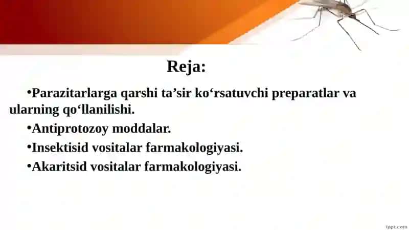 BALIQ SKELETI” INTERFAOL USUL 2
