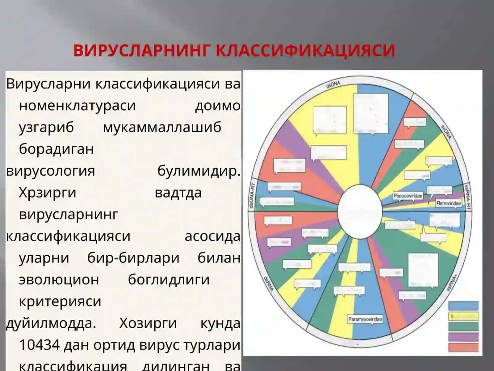 ВИРУСЛАРНИНГ КЛАССИФИКАЦИЯСИ 2