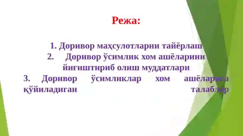 Доривор ўсимликлар 2