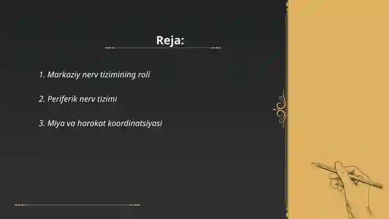 Markaziy nerv tizimining roli 2