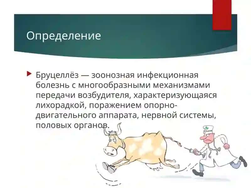 Бруцеллёз 2
