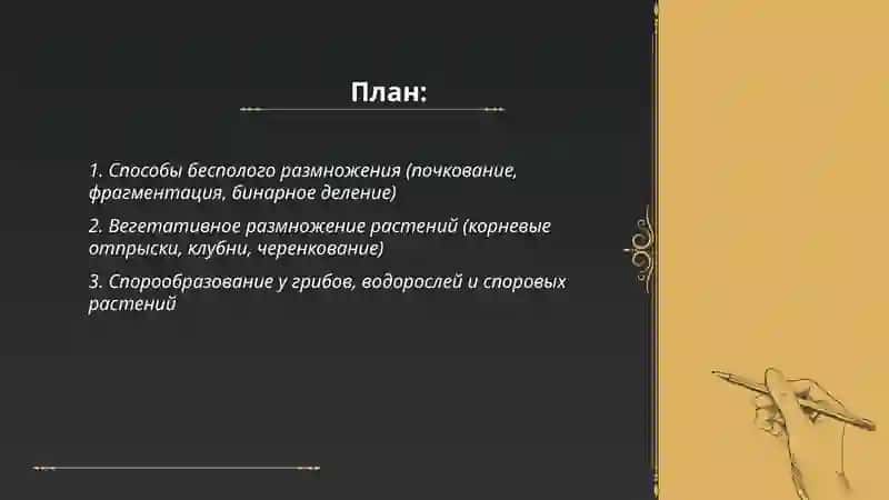 Размножения организмов 2