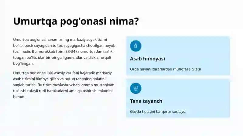 Umurtqa pog'onasi 2