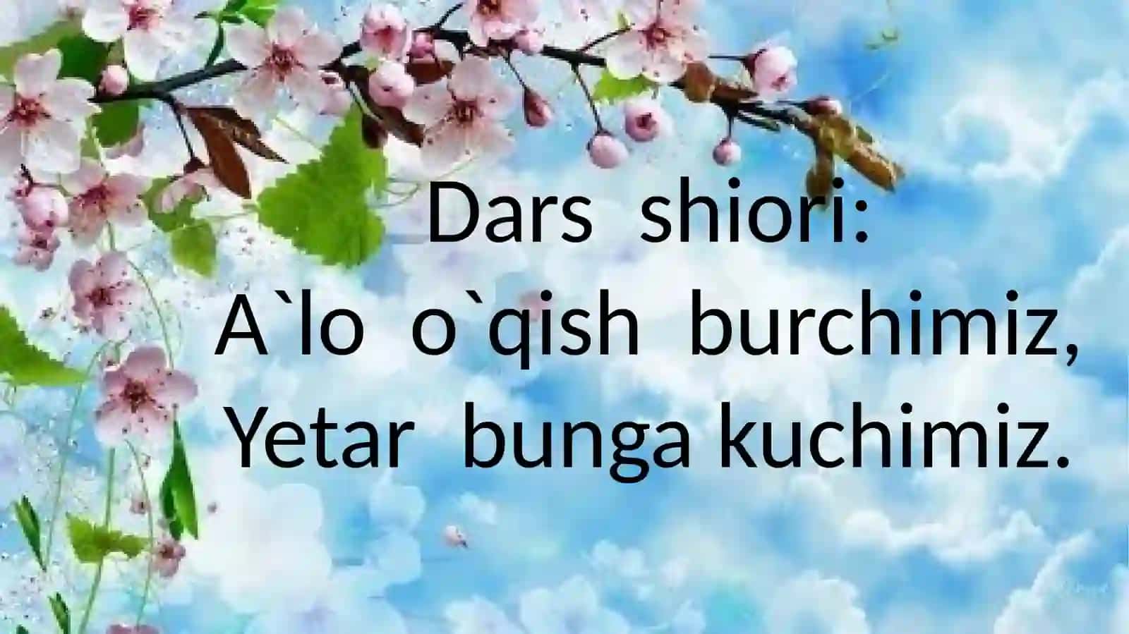 Fan: Onatilivao`qishsavodxonligi 2
