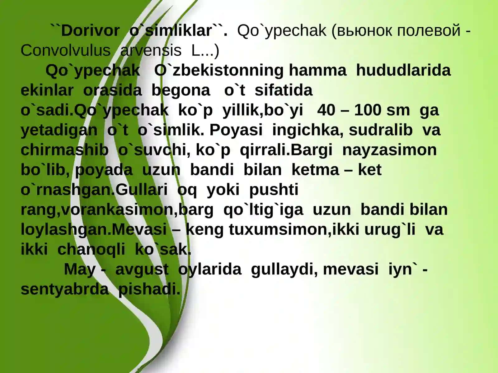 Dorivor o`simliklar 2