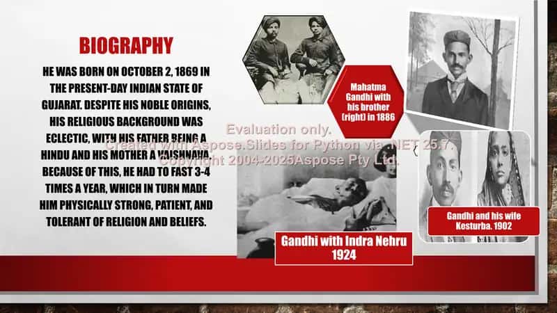 Mahatma Gandhi 2