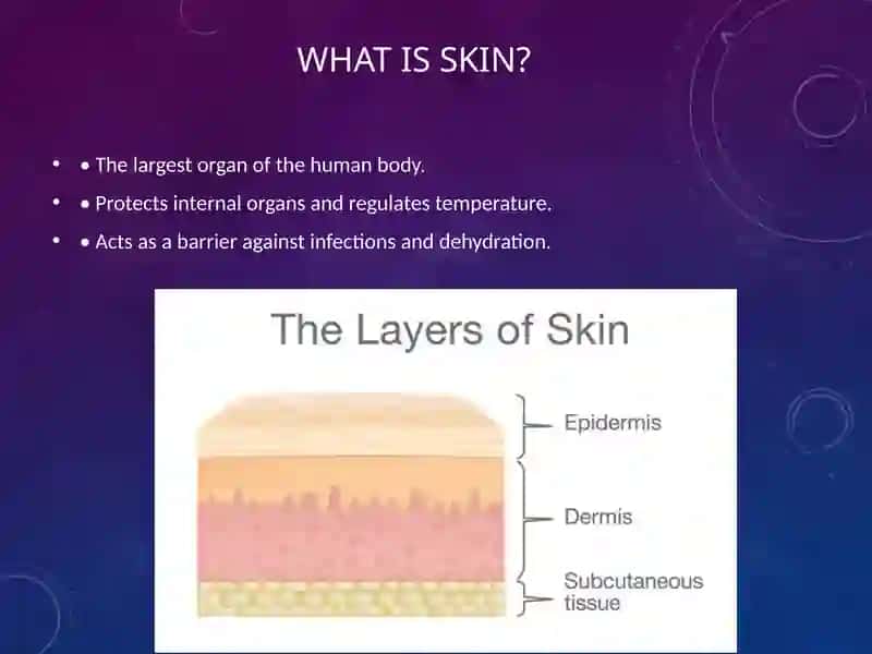 Skin Layers 2