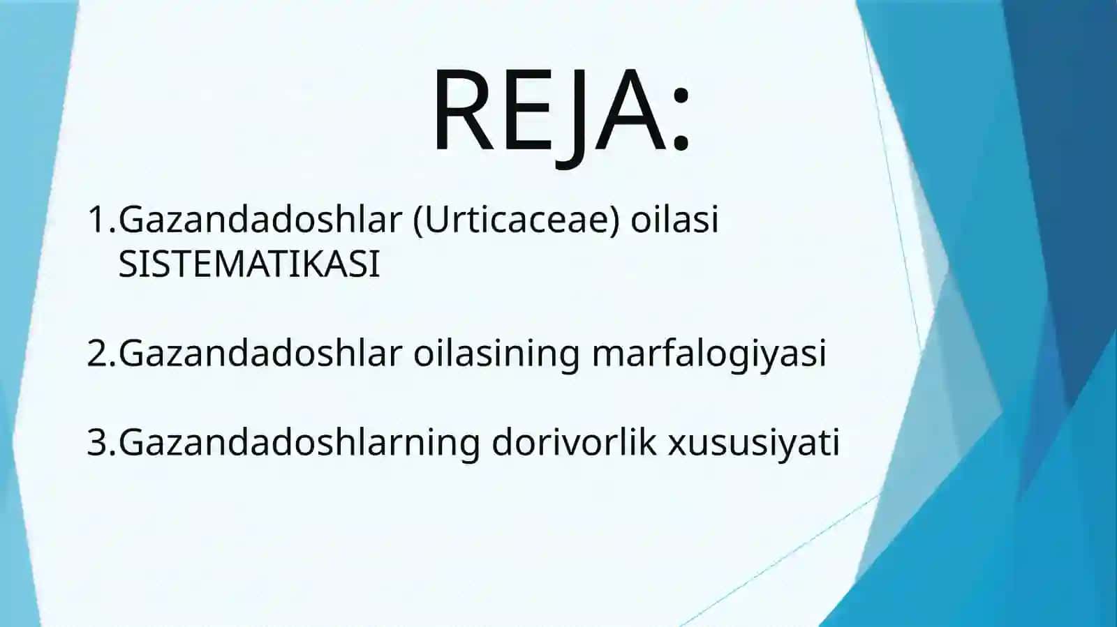Gazandadoshlar(Urticaceae)oilasi 2