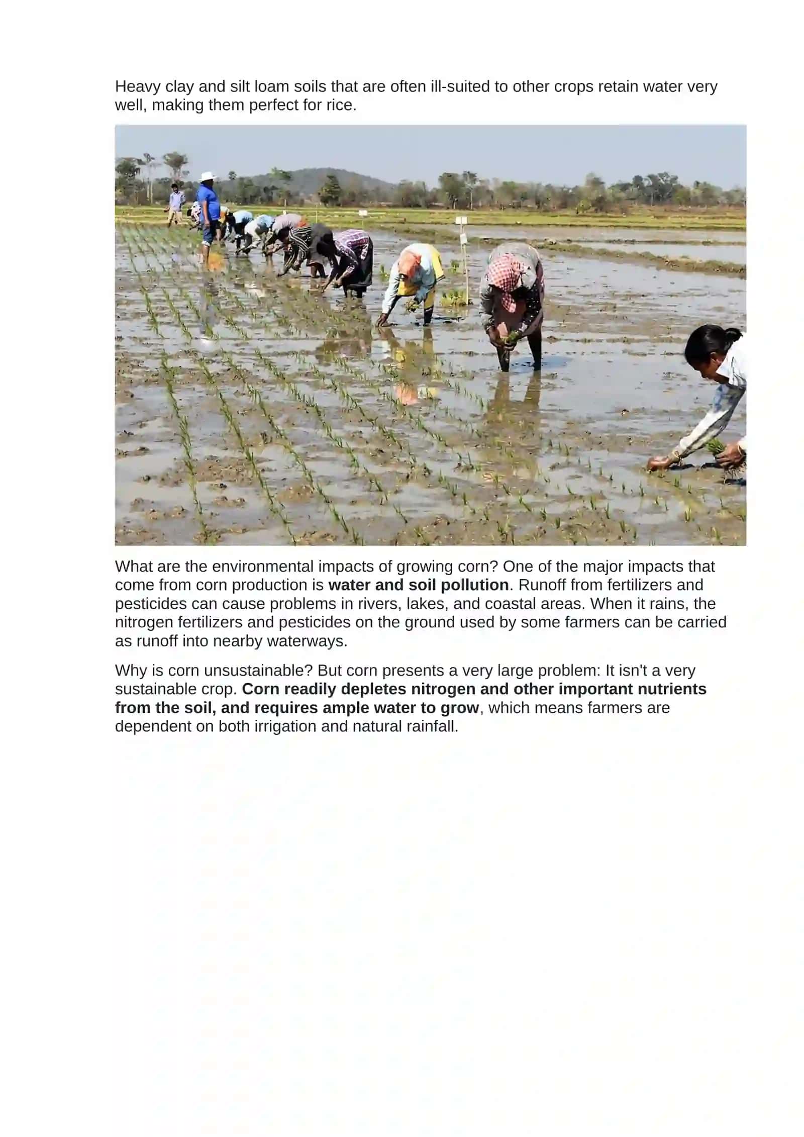 Mavzu: Issues with Grain Varieties 2