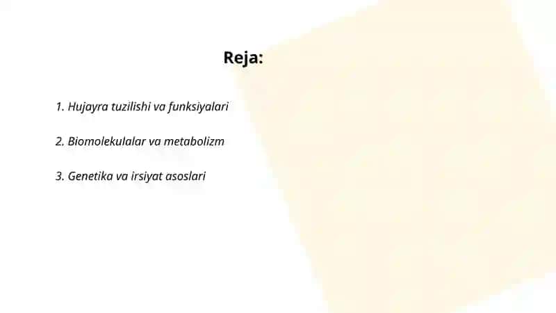 Sevinch 2