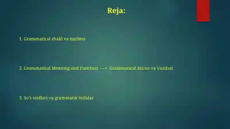 Grammatik toifalar: Umumiy ma'lumot 2