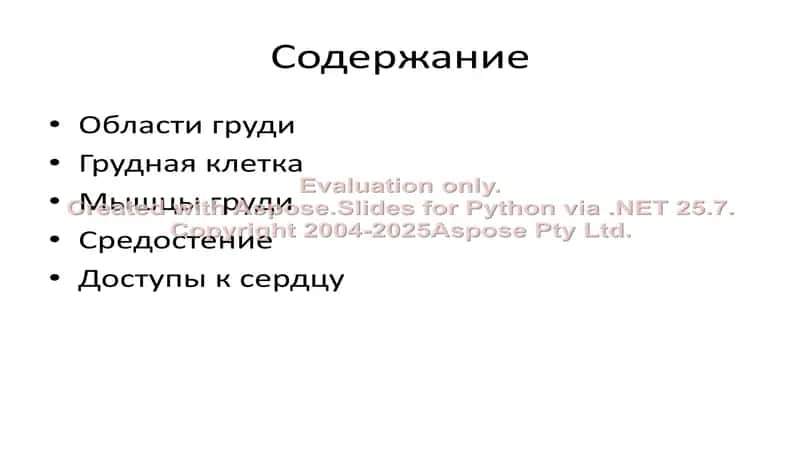 Топографическая анатомия груди 2