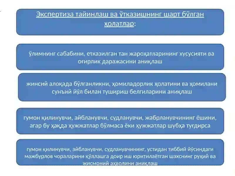 ЭКСПЕРТИЗА 2