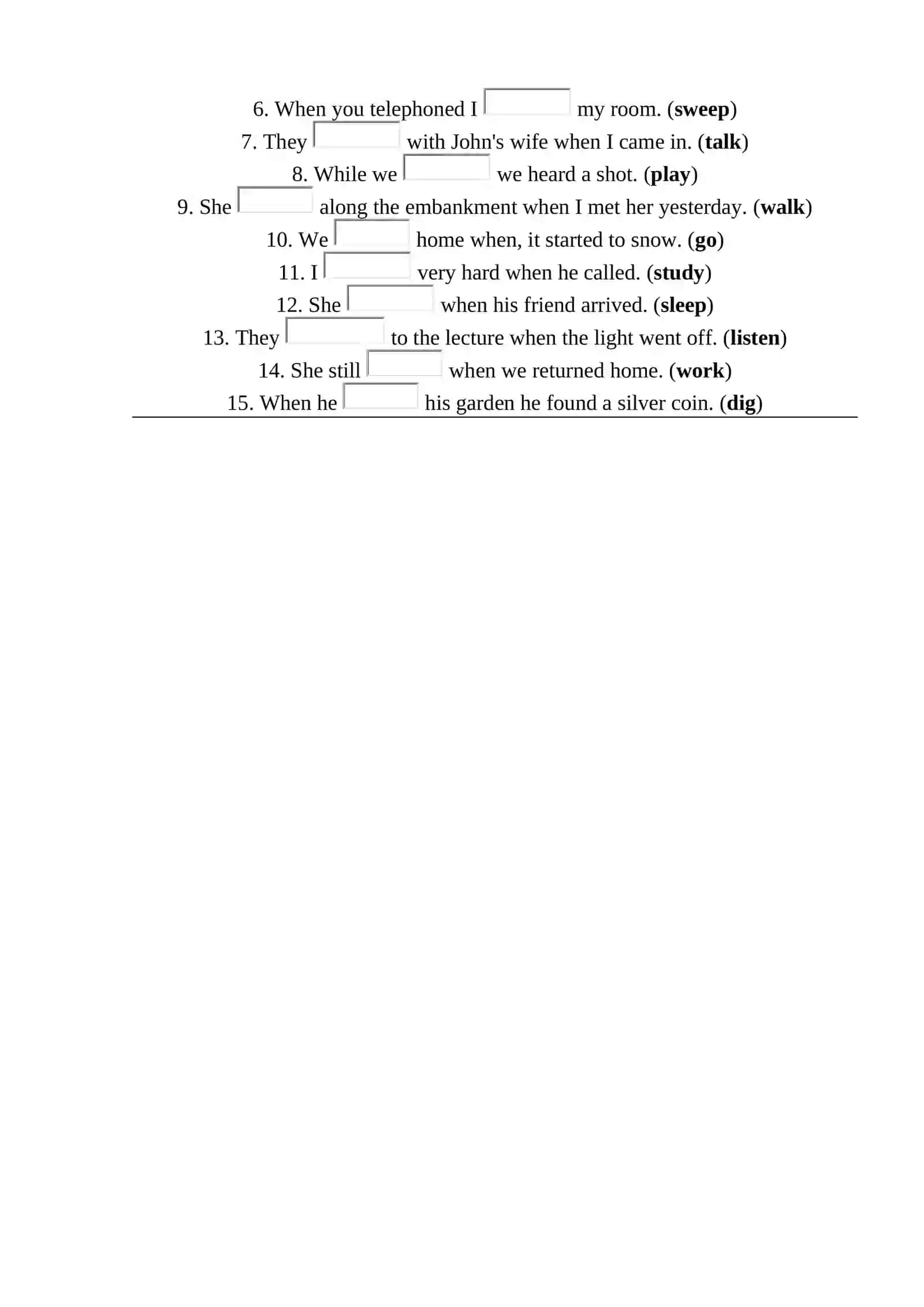Past Continuous exercise 2