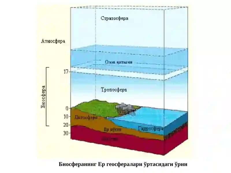 ИНСОН ВА БИОСФЕРА 2