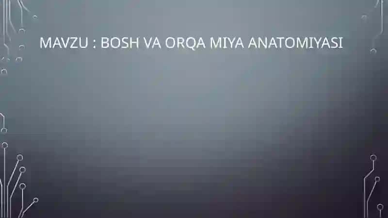 Boshvaorqamiya Anatomiyasi 2