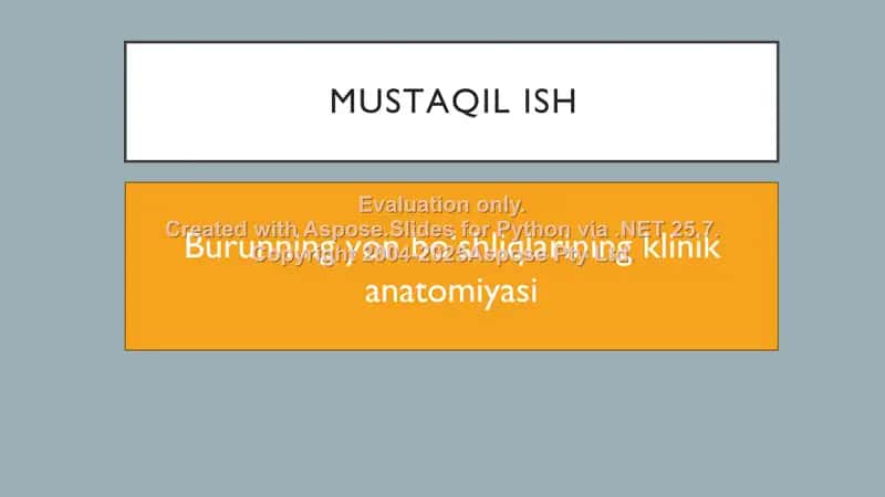 Burunning yon bo‘shliqlarining klinik anatomiyasi 2