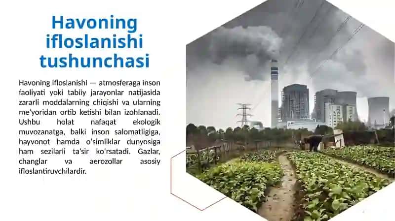 Havoning Ifloslanishi 2