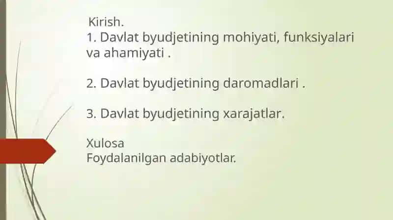 Davlat budjeti mavzusida mustaqil ish taqdimoti 2
