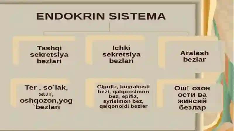 Sekretsiya Bezlari 2